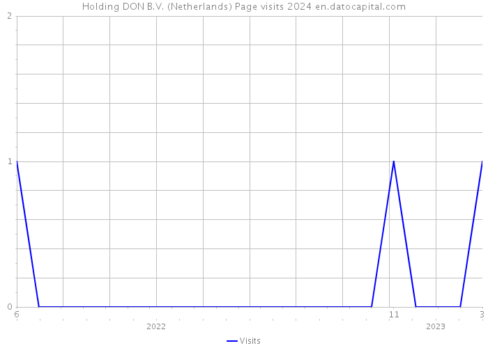 Holding DON B.V. (Netherlands) Page visits 2024 