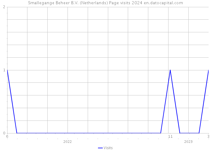 Smallegange Beheer B.V. (Netherlands) Page visits 2024 