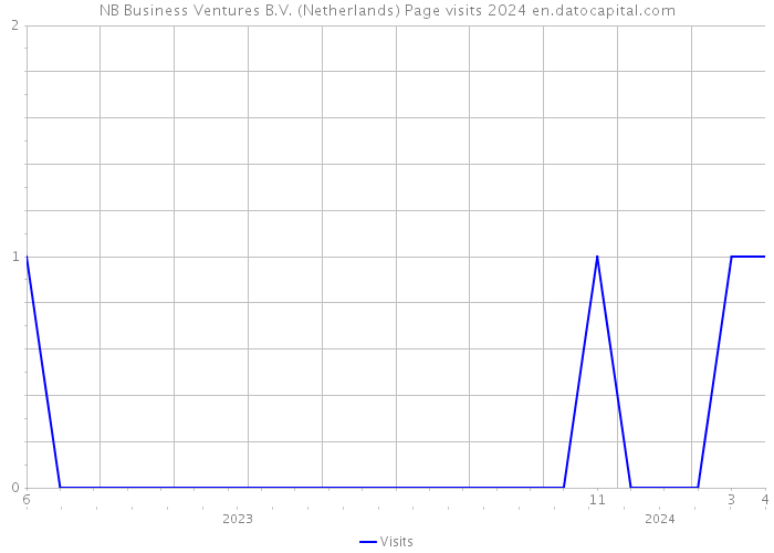 NB Business Ventures B.V. (Netherlands) Page visits 2024 