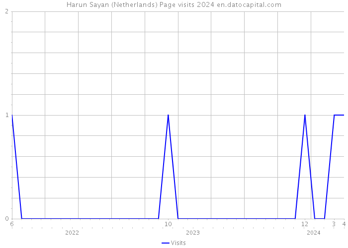 Harun Sayan (Netherlands) Page visits 2024 