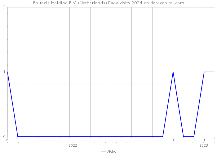 Bouaziz Holding B.V. (Netherlands) Page visits 2024 