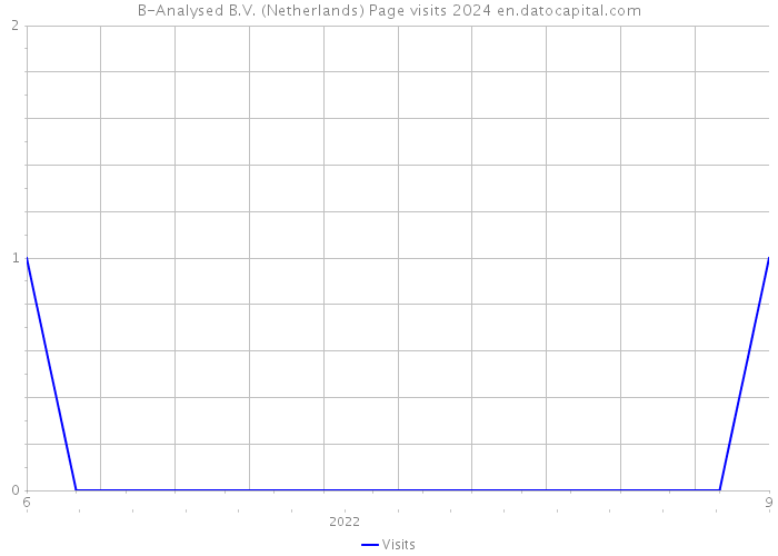 B-Analysed B.V. (Netherlands) Page visits 2024 