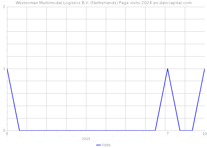 Westerman Multimodal Logistics B.V. (Netherlands) Page visits 2024 