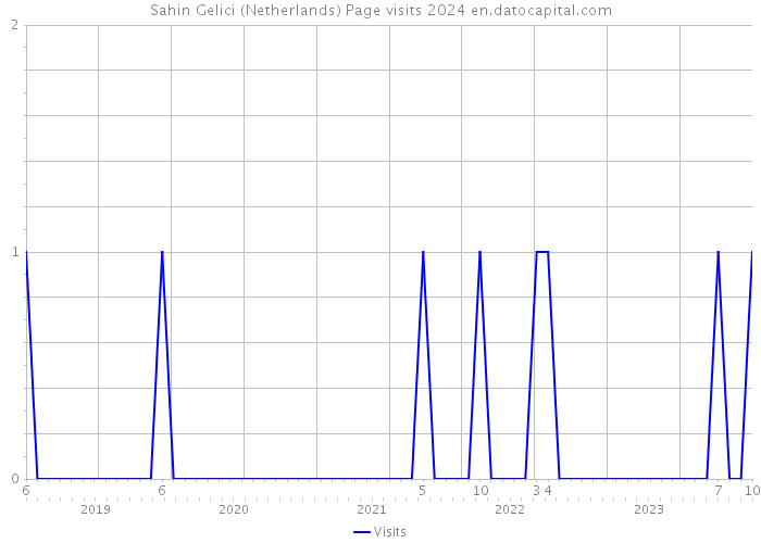 Sahin Gelici (Netherlands) Page visits 2024 