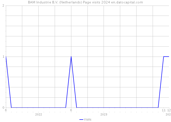 BAM Industrie B.V. (Netherlands) Page visits 2024 