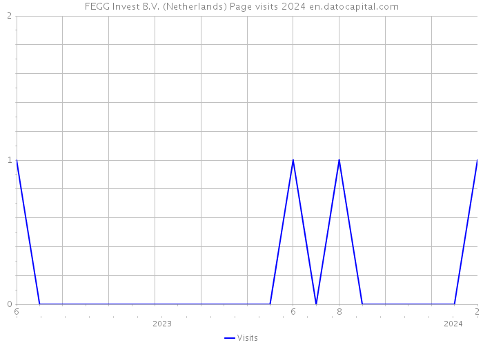 FEGG Invest B.V. (Netherlands) Page visits 2024 
