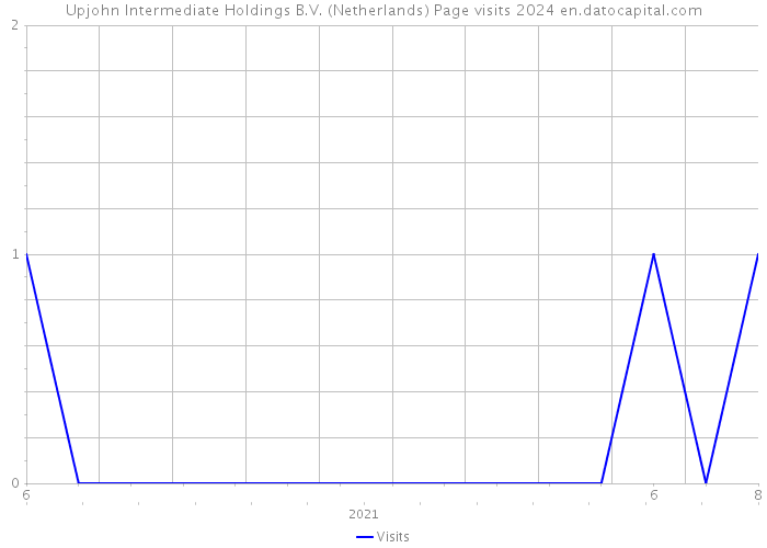 Upjohn Intermediate Holdings B.V. (Netherlands) Page visits 2024 