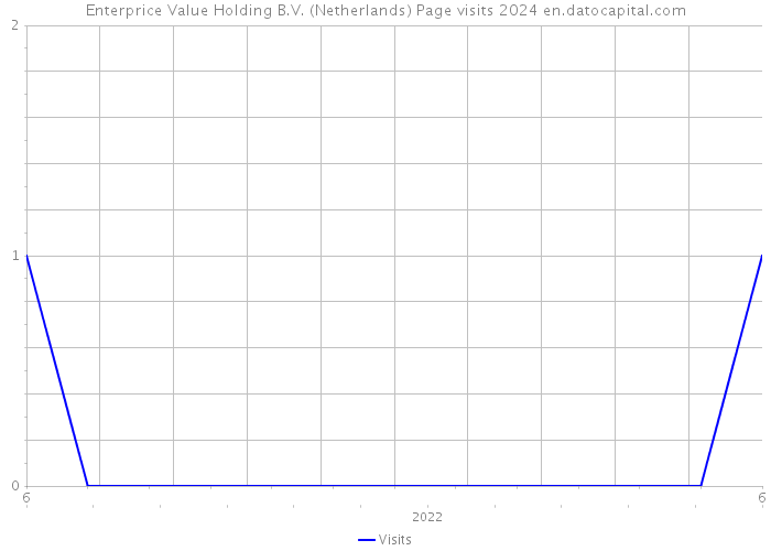 Enterprice Value Holding B.V. (Netherlands) Page visits 2024 