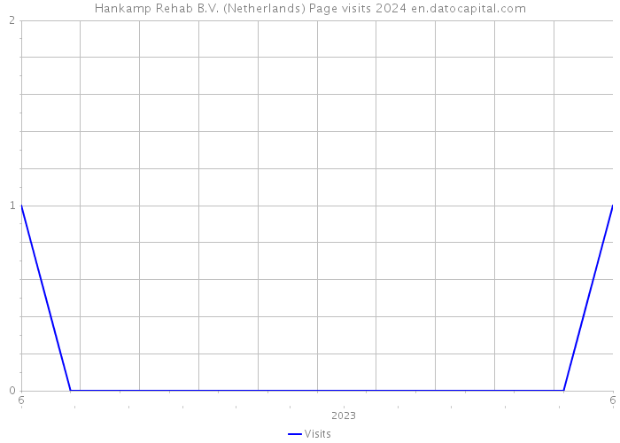 Hankamp Rehab B.V. (Netherlands) Page visits 2024 