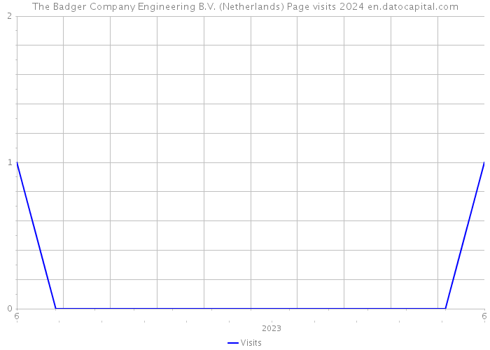 The Badger Company Engineering B.V. (Netherlands) Page visits 2024 