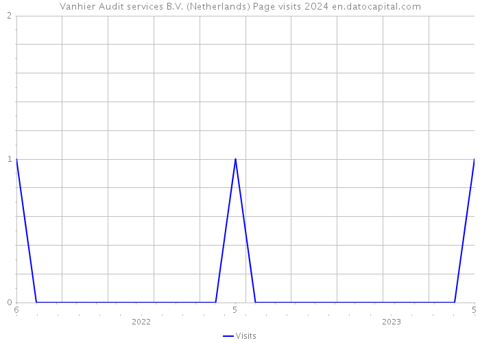 Vanhier Audit services B.V. (Netherlands) Page visits 2024 