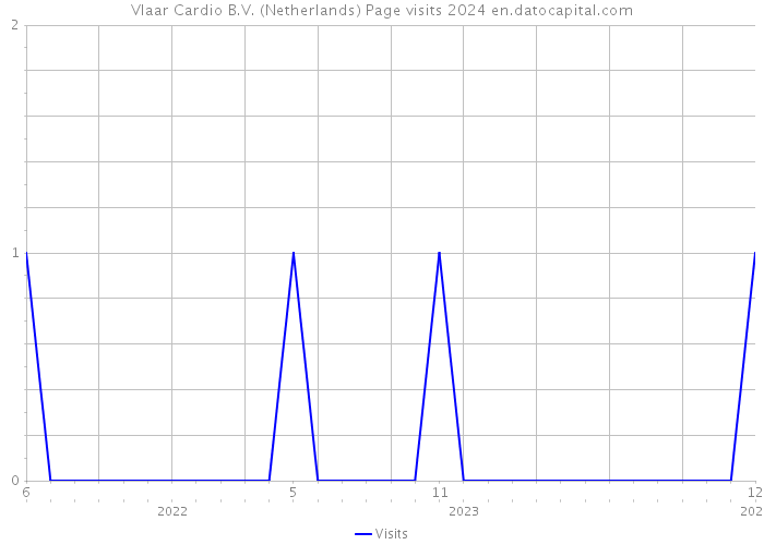 Vlaar Cardio B.V. (Netherlands) Page visits 2024 