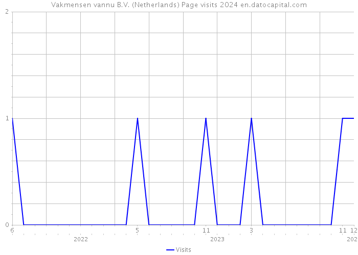 Vakmensen vannu B.V. (Netherlands) Page visits 2024 
