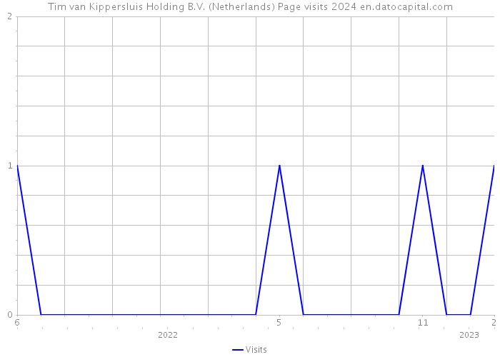 Tim van Kippersluis Holding B.V. (Netherlands) Page visits 2024 