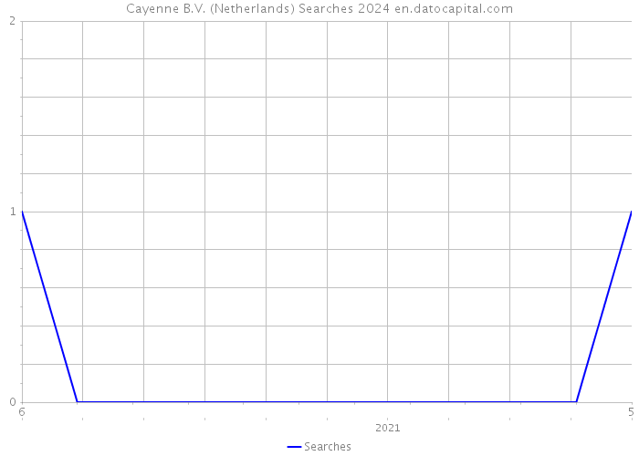 Cayenne B.V. (Netherlands) Searches 2024 