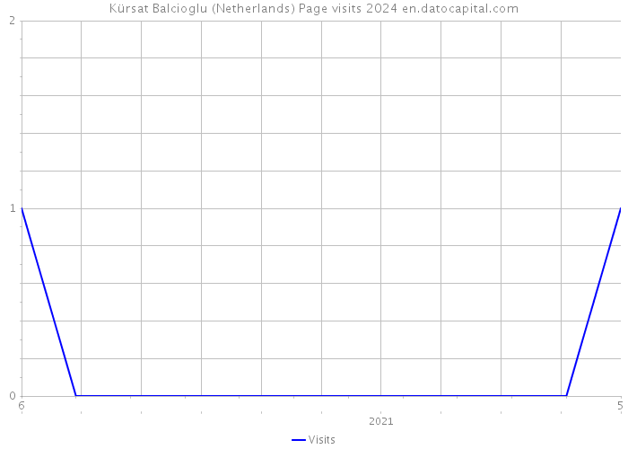 Kürsat Balcioglu (Netherlands) Page visits 2024 