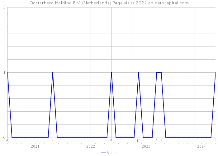 Oosterberg Holding B.V. (Netherlands) Page visits 2024 