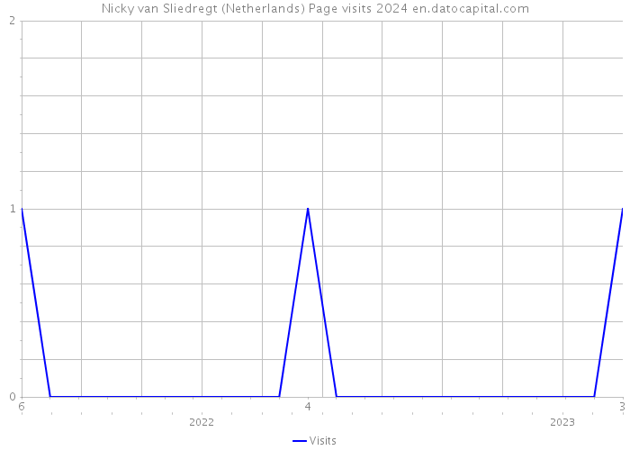 Nicky van Sliedregt (Netherlands) Page visits 2024 
