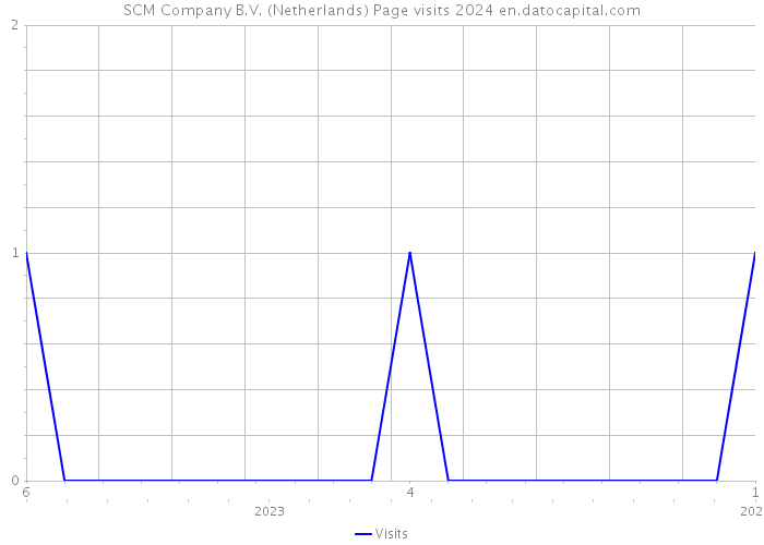 SCM Company B.V. (Netherlands) Page visits 2024 