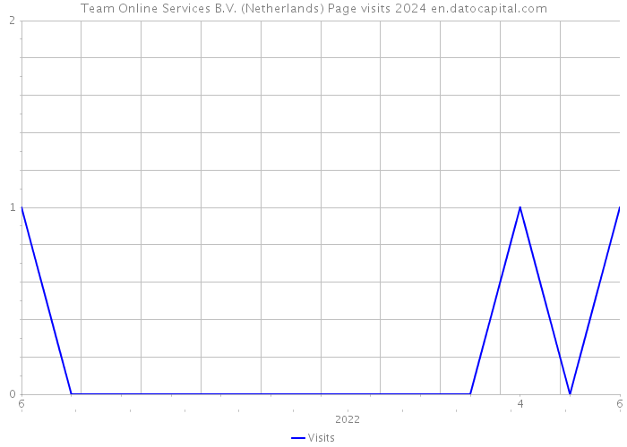 Team Online Services B.V. (Netherlands) Page visits 2024 
