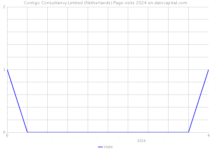 Conligo Consultancy Limited (Netherlands) Page visits 2024 