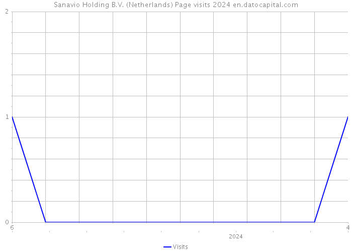 Sanavio Holding B.V. (Netherlands) Page visits 2024 