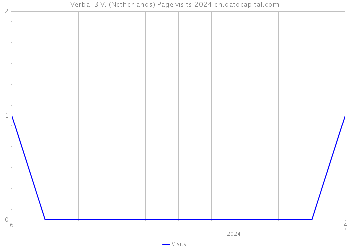 Verbal B.V. (Netherlands) Page visits 2024 