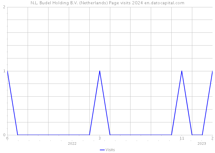 N.L. Budel Holding B.V. (Netherlands) Page visits 2024 