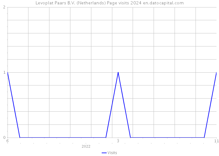 Levoplat Paars B.V. (Netherlands) Page visits 2024 