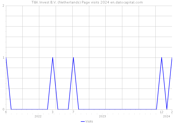 T&K Invest B.V. (Netherlands) Page visits 2024 