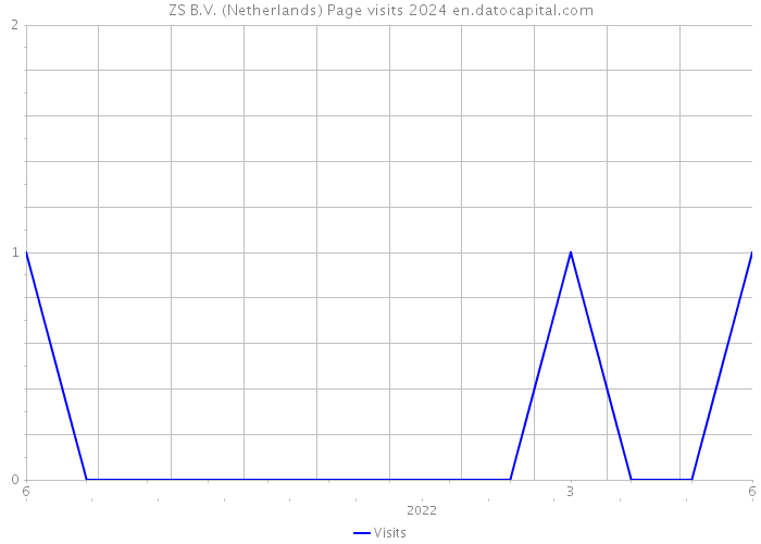 ZS B.V. (Netherlands) Page visits 2024 