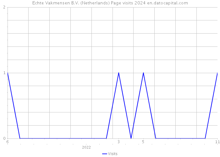 Echte Vakmensen B.V. (Netherlands) Page visits 2024 