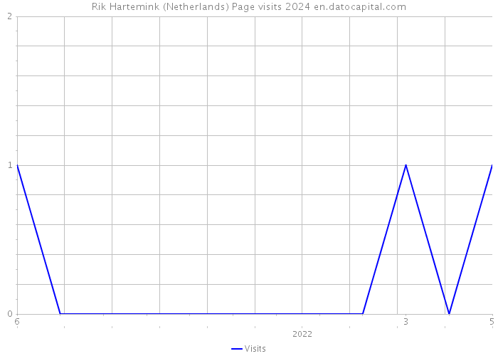 Rik Hartemink (Netherlands) Page visits 2024 