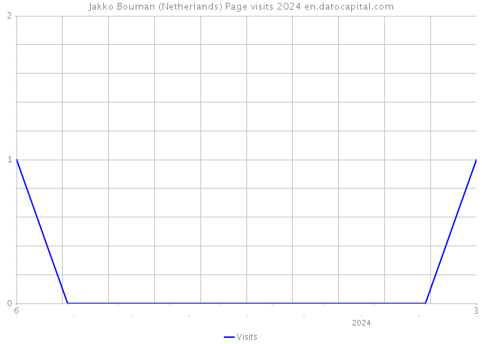 Jakko Bouman (Netherlands) Page visits 2024 