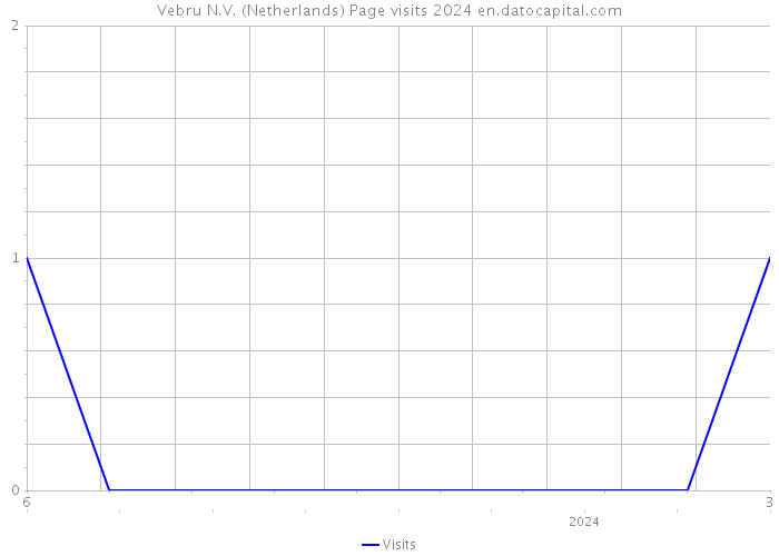 Vebru N.V. (Netherlands) Page visits 2024 