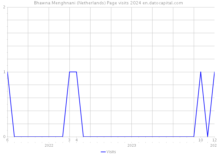 Bhawna Menghnani (Netherlands) Page visits 2024 