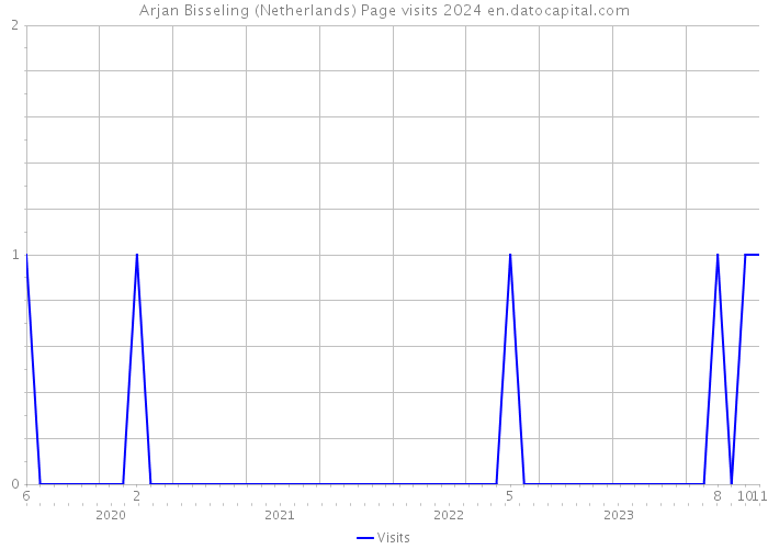 Arjan Bisseling (Netherlands) Page visits 2024 