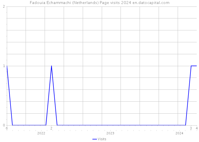 Fadouia Echammachi (Netherlands) Page visits 2024 