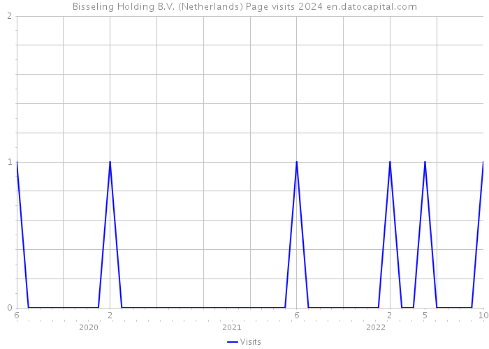 Bisseling Holding B.V. (Netherlands) Page visits 2024 