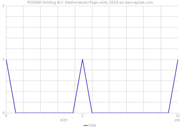 ROSS96 Holding B.V. (Netherlands) Page visits 2024 