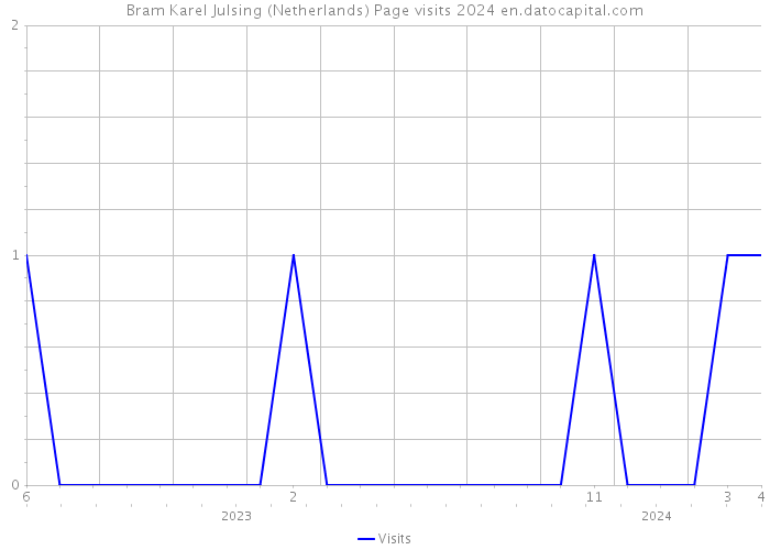 Bram Karel Julsing (Netherlands) Page visits 2024 