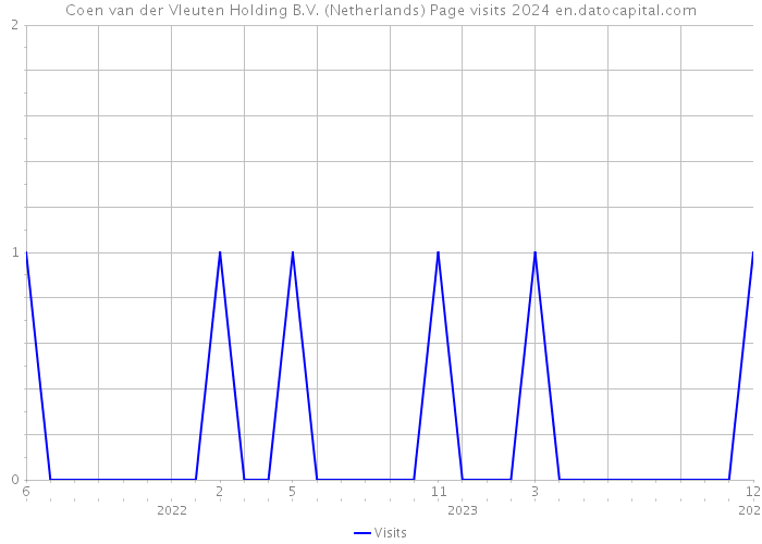 Coen van der Vleuten Holding B.V. (Netherlands) Page visits 2024 