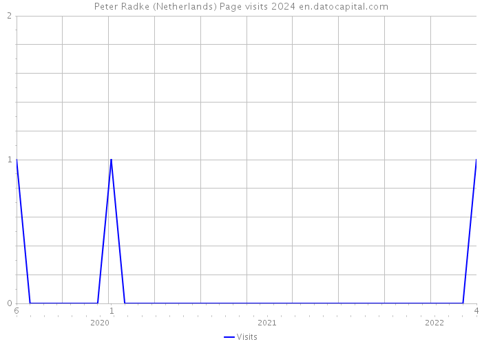 Peter Radke (Netherlands) Page visits 2024 