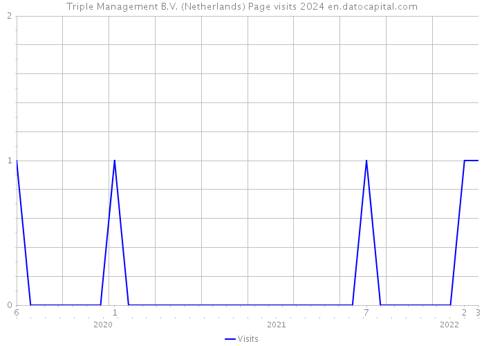 Triple Management B.V. (Netherlands) Page visits 2024 