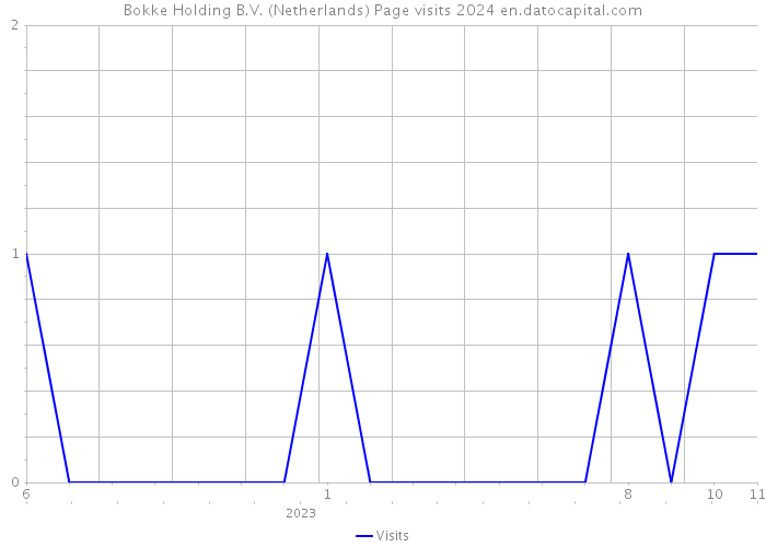 Bokke Holding B.V. (Netherlands) Page visits 2024 