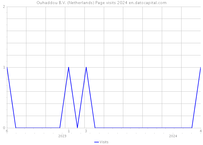 Ouhaddou B.V. (Netherlands) Page visits 2024 