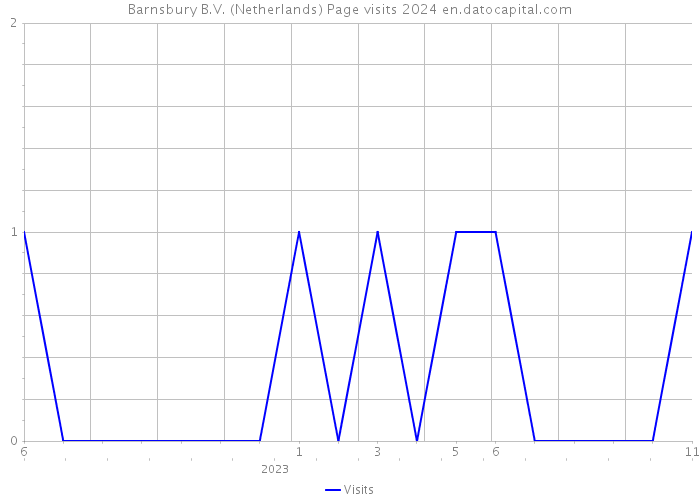 Barnsbury B.V. (Netherlands) Page visits 2024 