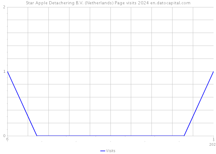 Star Apple Detachering B.V. (Netherlands) Page visits 2024 
