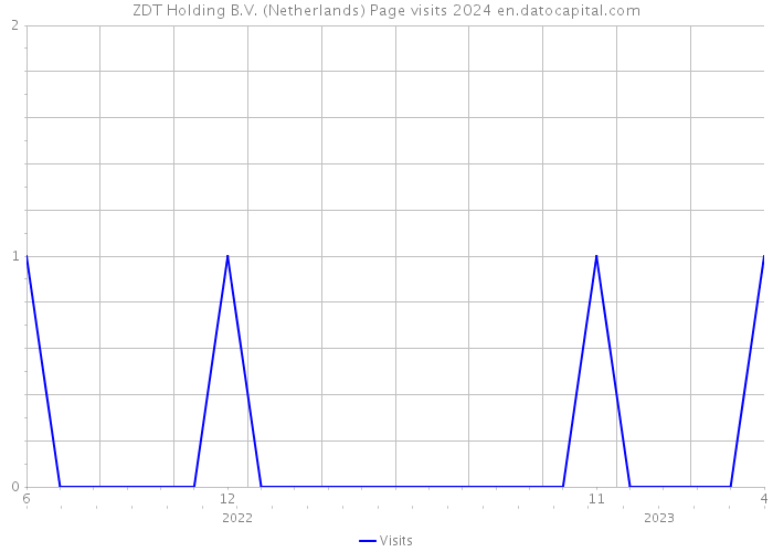 ZDT Holding B.V. (Netherlands) Page visits 2024 