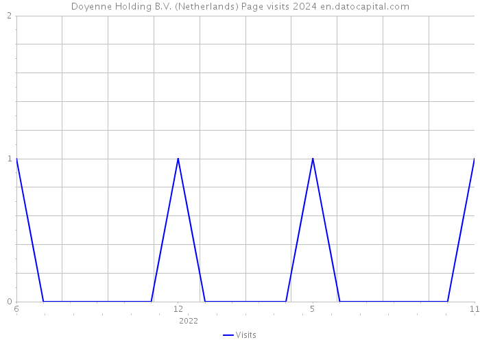 Doyenne Holding B.V. (Netherlands) Page visits 2024 